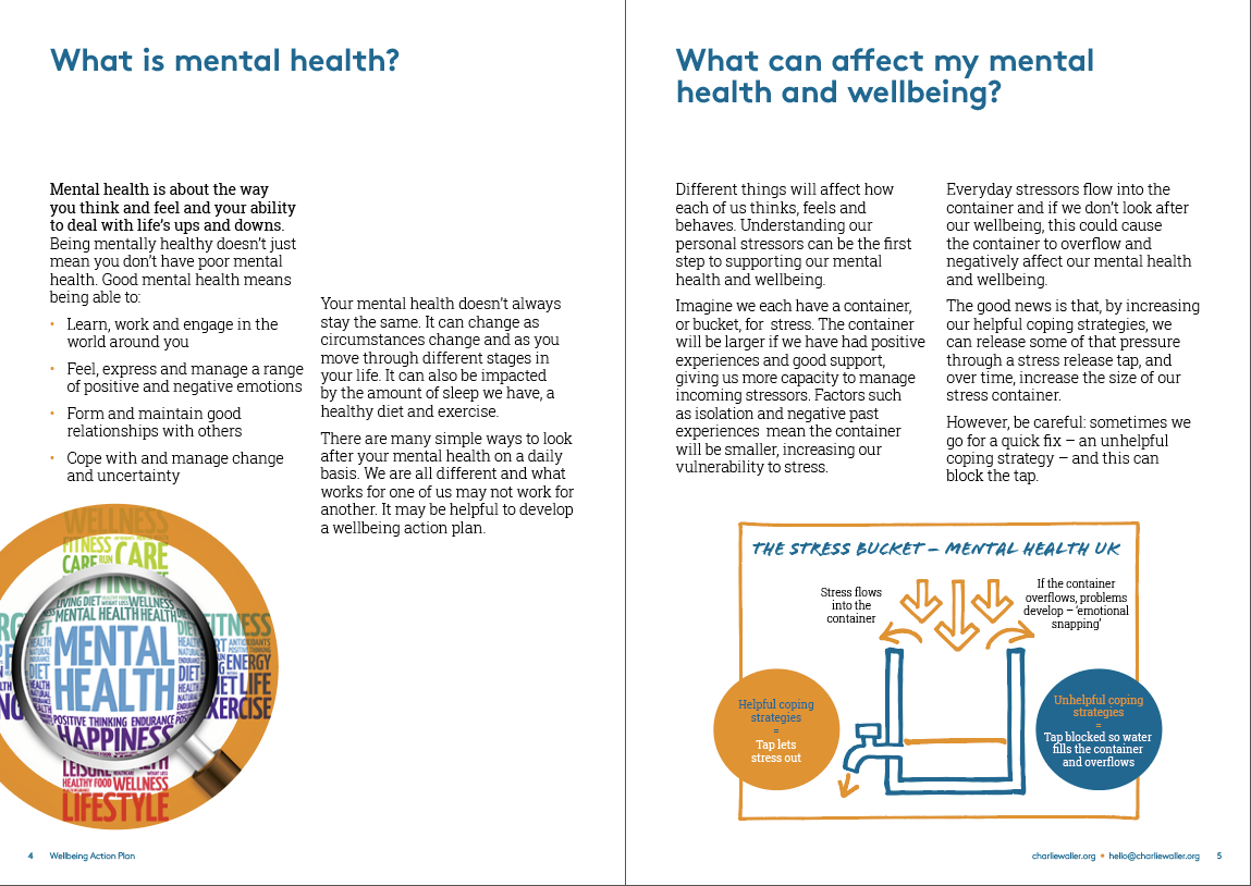 Wellbeing Action Plan Adult Charlie Waller Trust Shop