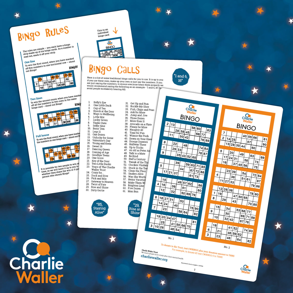 Host your own Bingo Night! Charlie Waller Trust shop