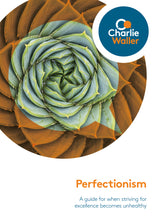 Load image into Gallery viewer, Perfectionism