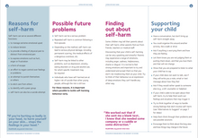 Load image into Gallery viewer, Coping with self-harm