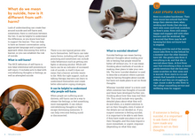 Load image into Gallery viewer, Talking about suicide: A guide for college staff