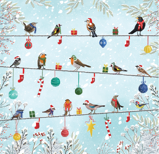 Robins and Baubles (pack of 10)